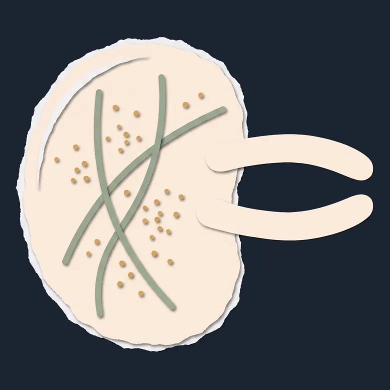 Cut-paper portrait of Archaea