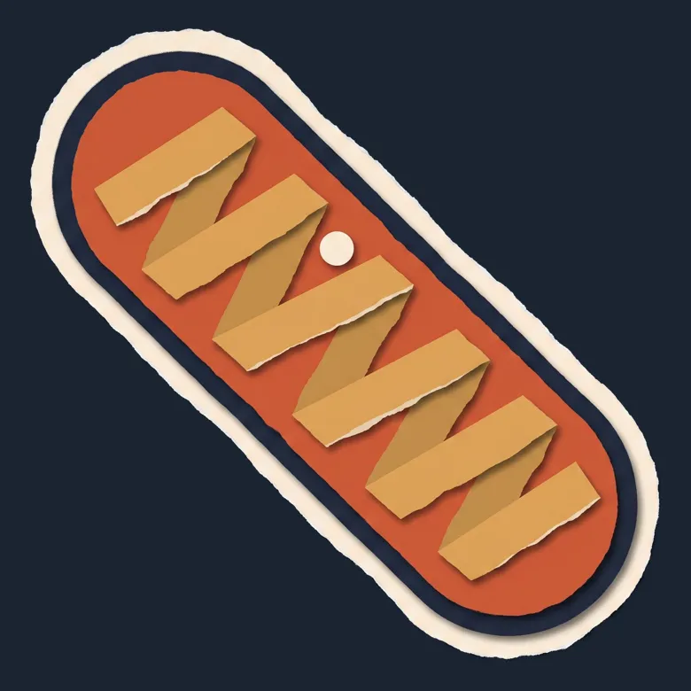 Cut-paper portrait of Mitochondria