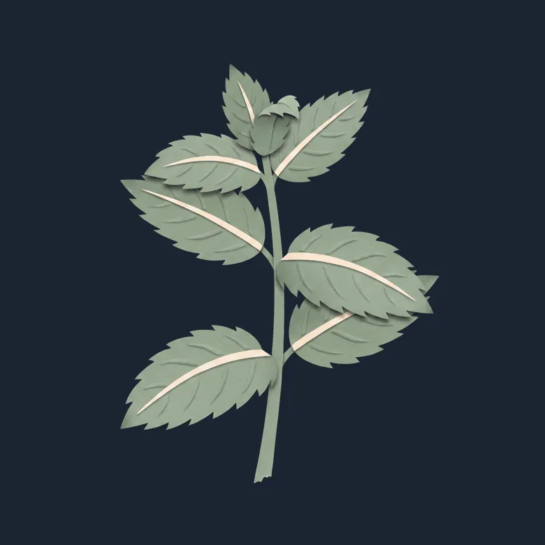 Cut-paper portrait of Spearmint