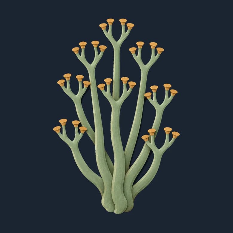 Cut-paper Cooksonia, thin forking green stems tipped with small ochre caps