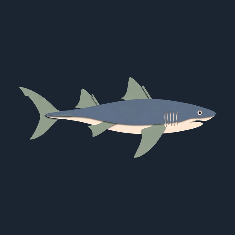 Cut-paper early shark in side view, a slim body with tall fins and a forked tail