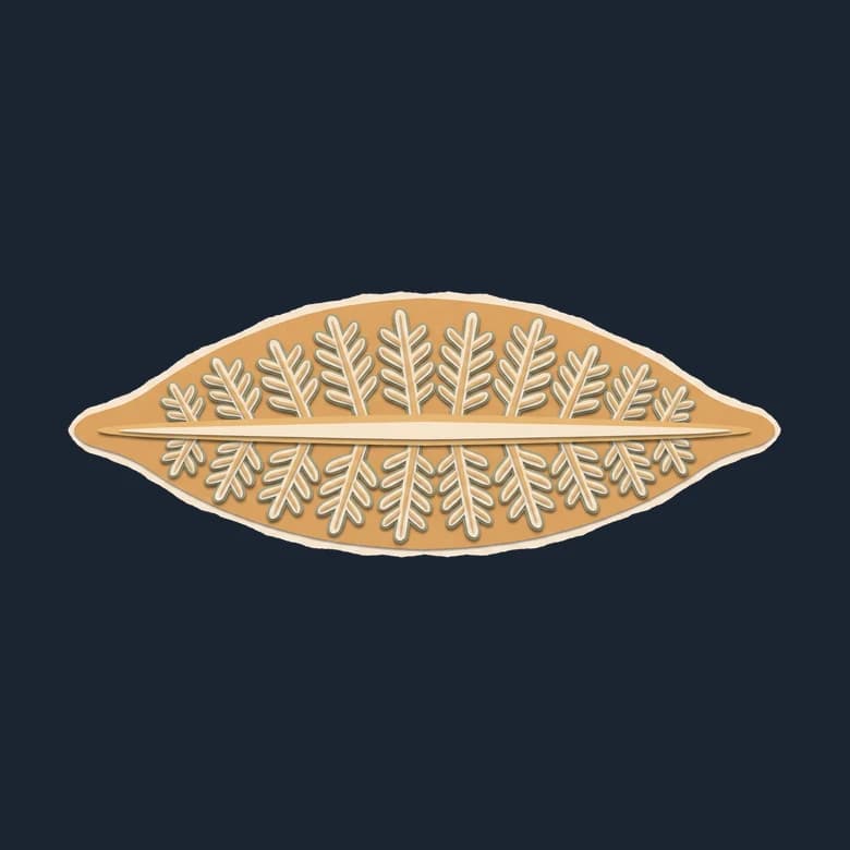 Cut-paper Fractofusus, a flat spindle pointed at both ends