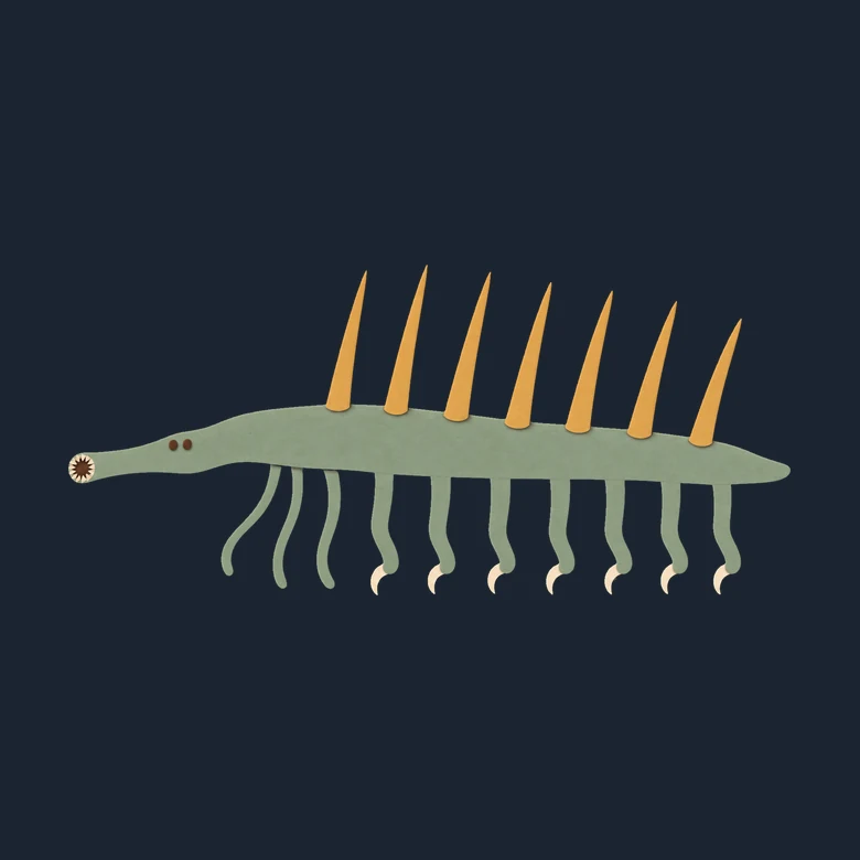 Cut-paper Hallucigenia the right way up: spines on its back, legs below, head at the front