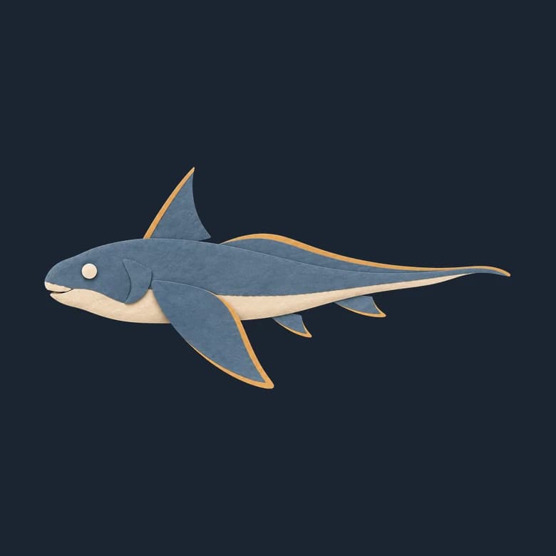 Cut-paper ratfish in side view, a big-headed fish with wide fins and a long thin tail