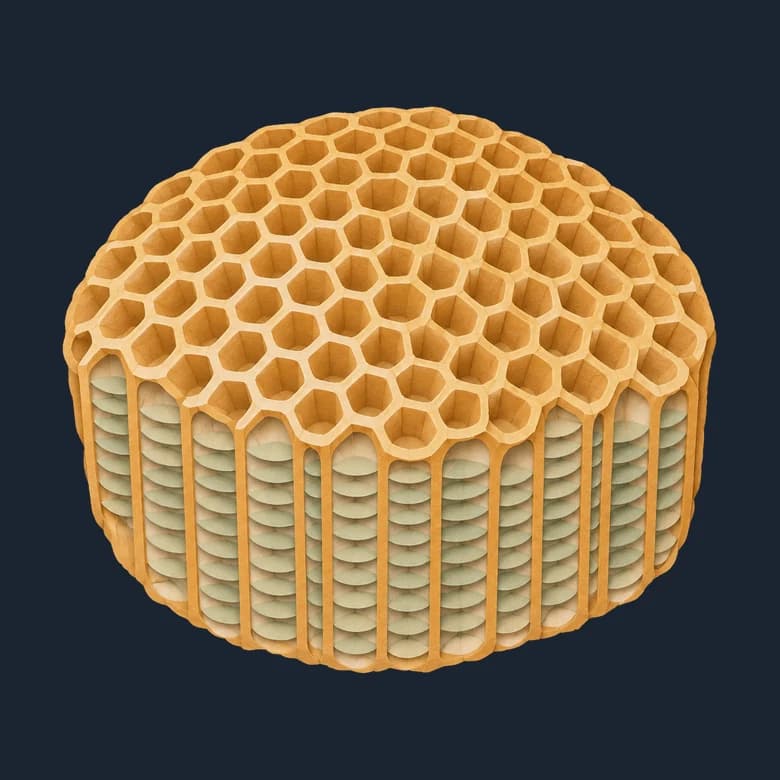 Cut-paper tabulate coral, a rounded head whose top is a honeycomb of small cells